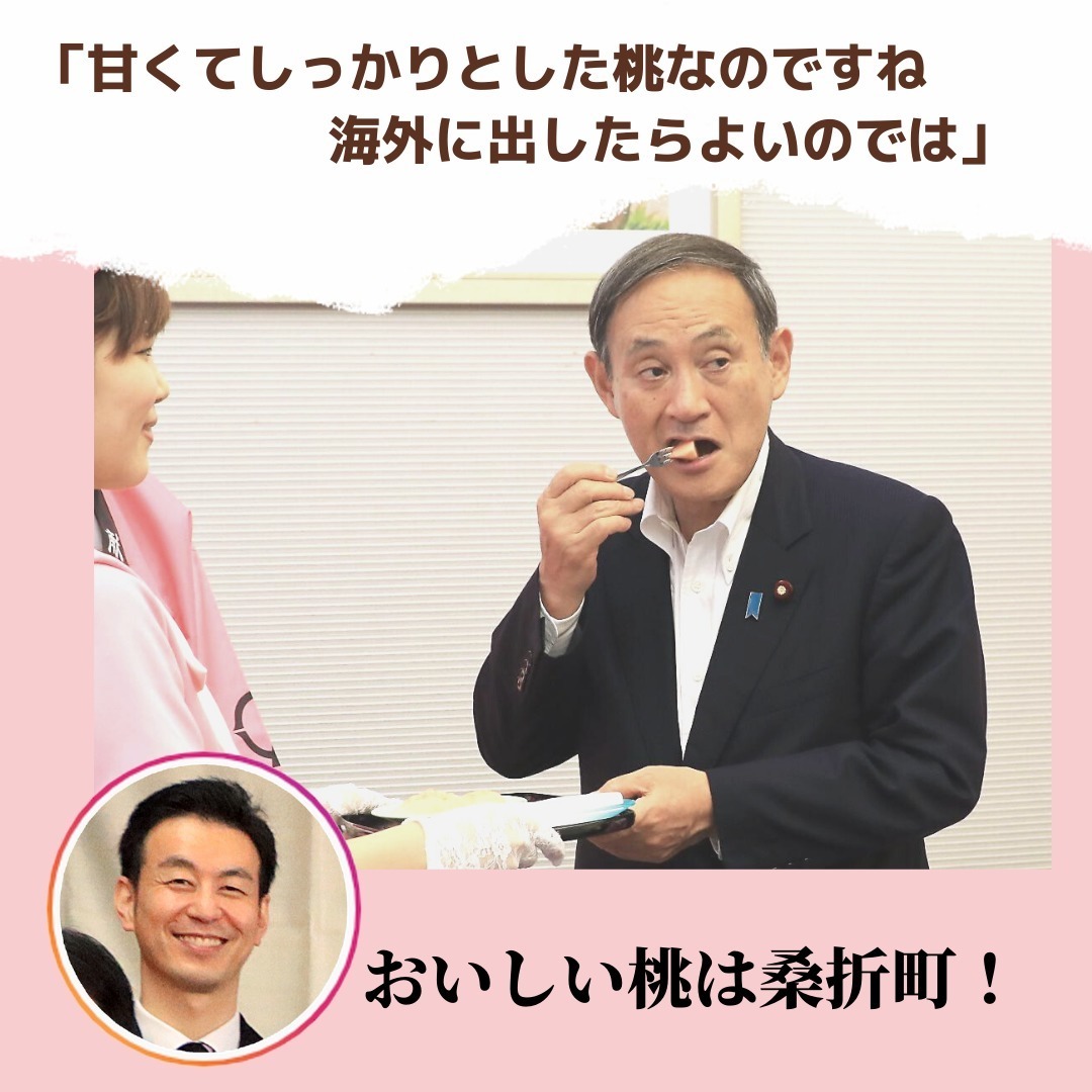 【菅総理も召し上がった美味しい桃】菅政権も桃シーズンと一緒に終わってしまうようですね。お疲れさまでした。
